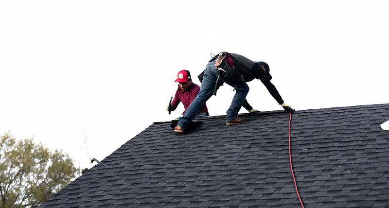 Asphalt roofing shingle replacement in Harris County.